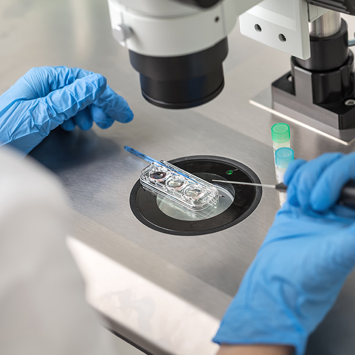 IVF